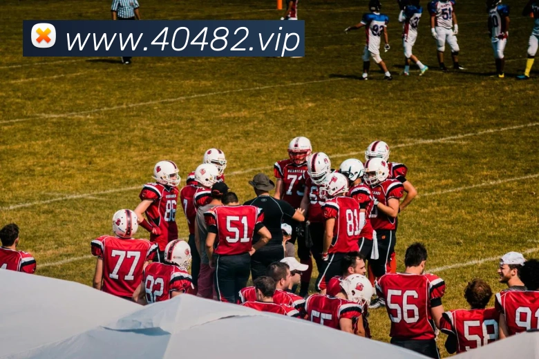 数据分析功能